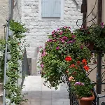 Πανσιόν Riva Palace