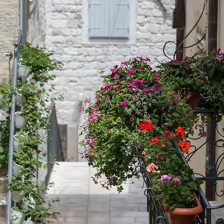 Casa de hóspedes Riva Palace