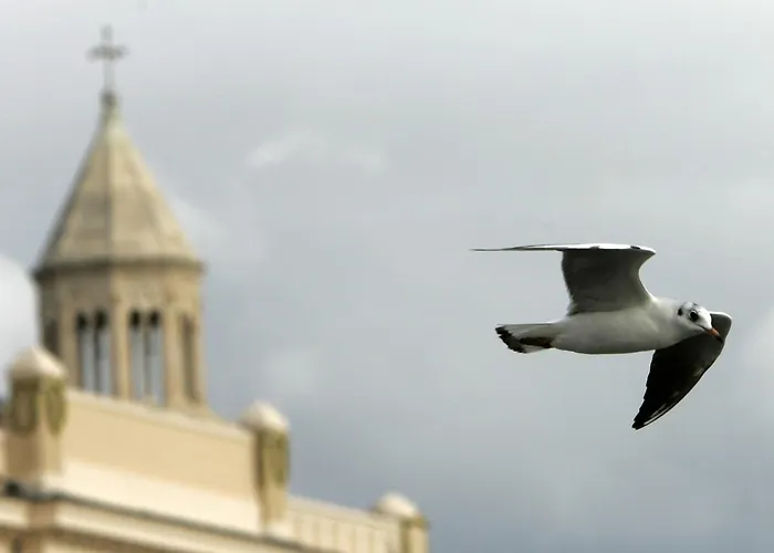 Gasthuis Riva Palace 4*