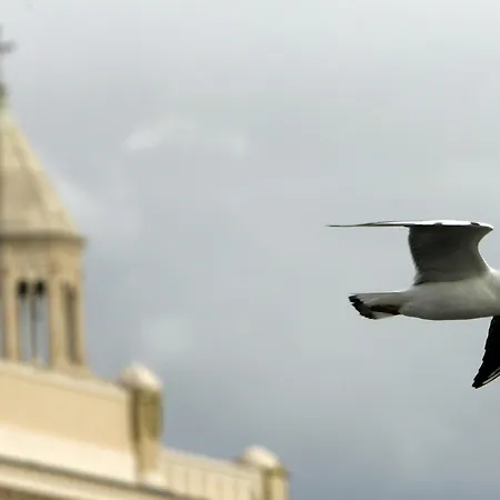 بيت ضيافة Riva Palace 4*